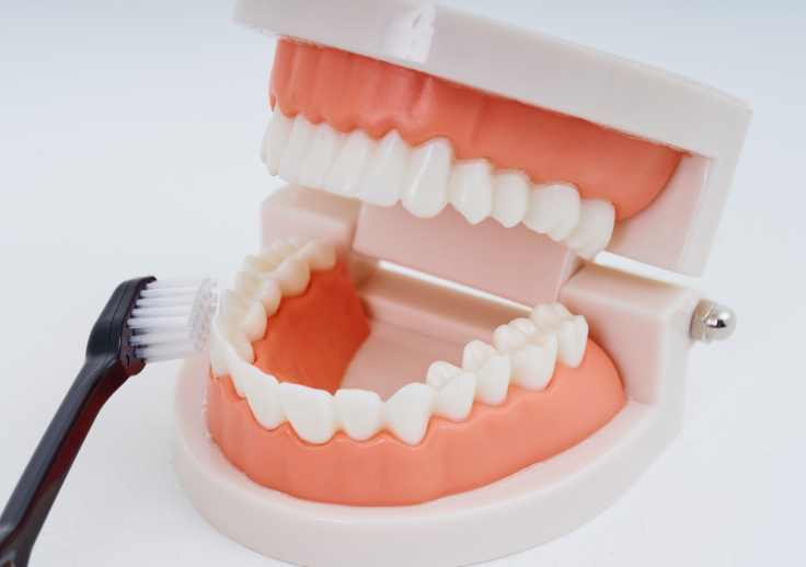 ブラッシング指導