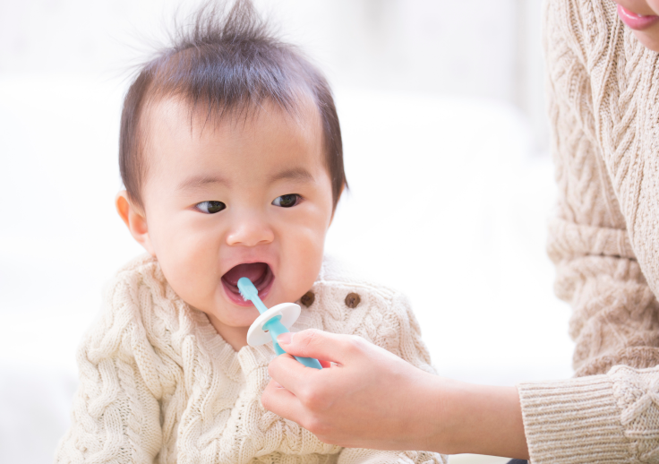 おすすめは乳歯が生え始めた頃です